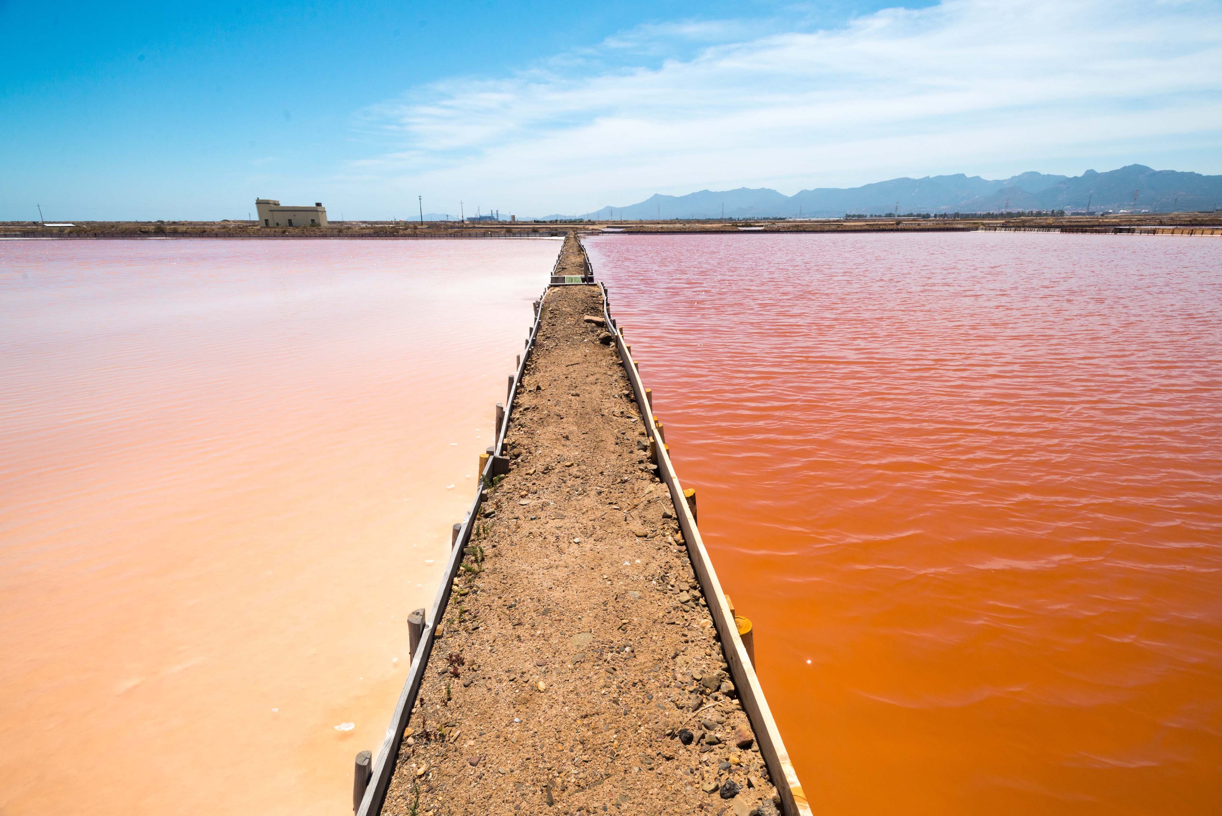 Torneo Del Paesaggio Iscrizione Fai Fondo Ambiente Italiano