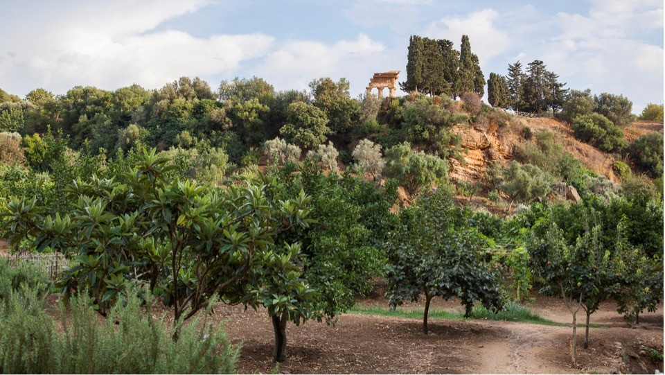 Torneo Del Paesaggio Iscrizione Fai Fondo Ambiente Italiano