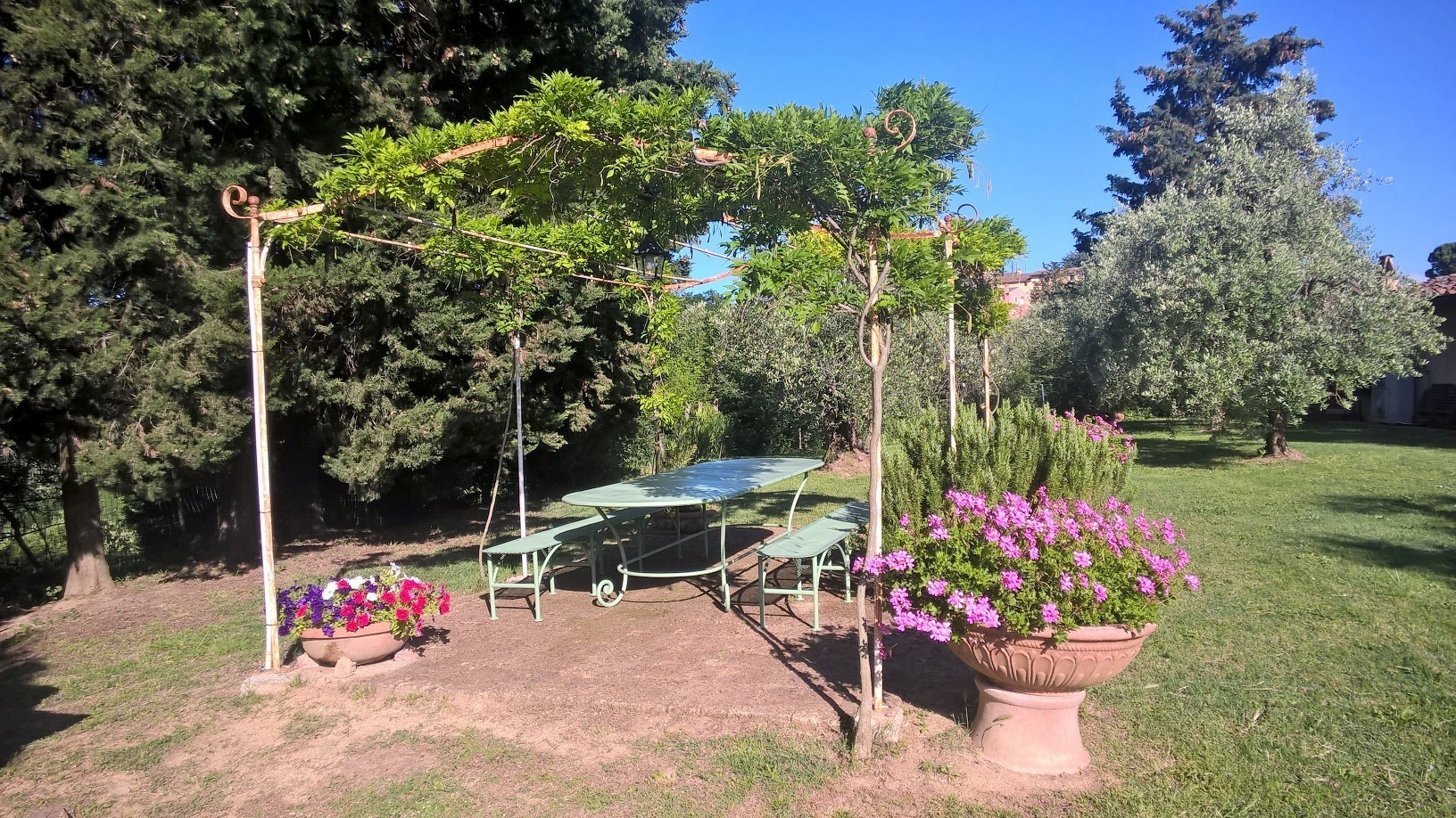 Top 10 piante da balcone soleggiato - Piante da Giardino - Piante per balcone al sole